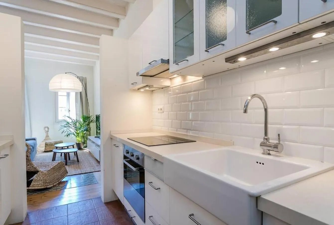 Luxurious With Awesome Rooftop Barcelona 0*,